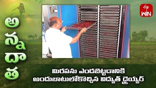 Electric drier technology for fast & easy drying of chilli | ETV
