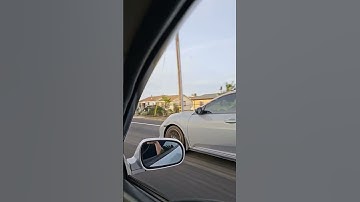 Ls integra w/ gsr Trans VS 2021 civic sport