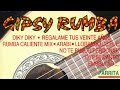 Gipsy Rumba - Various artists