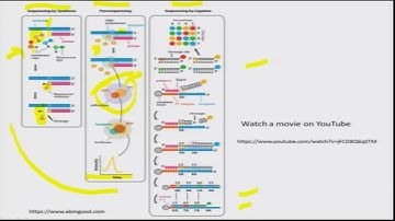 DNA Sequencing Methods (Part 2) #CH17SP #swayamprabha