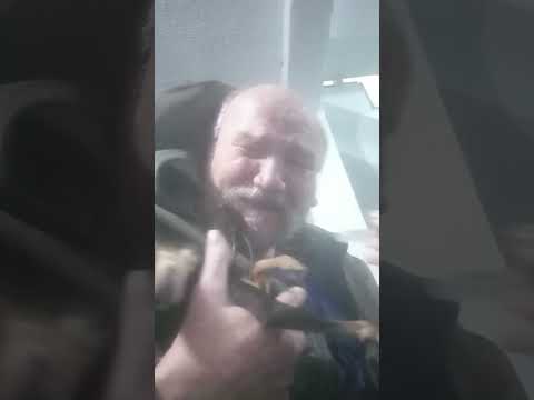 Joe Lombardi dog is dying in his arms