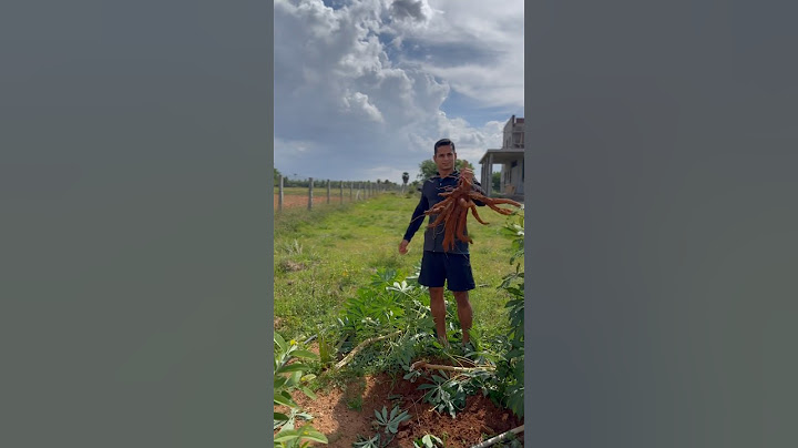 HM Land la vandha first கிழங்கு 🥰🥰 #Shorts #HussainManimegalai #Village