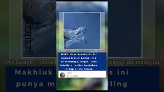 Rahasia cara bdelloid rotifers bertahan hidup