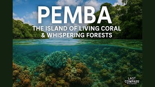 Pemba: The Island of Living Coral & Whispering Forest. #tanzania #pemba #africa