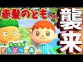 【あつまれどうぶつの森】その人は嵐の様な男だった…w【ほのぼのあつもり日記】博物館建ったよ