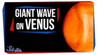 The Giant Wave on Venus