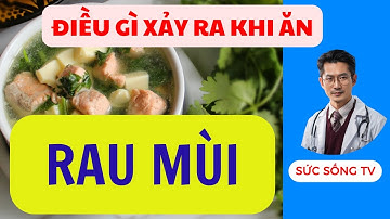 Điều gì xảy ra khi ăn RAU MÙI mỗi ngày | SỨC SỐNG TV |