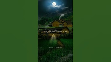 سورة الزخرف |الأية 70| القارئ محمد صديق المنشاوي  تلاوة تخشع لها القلوب #ارح_قلبك #المنشاوي#quran