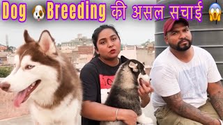 इस video के बाद हर कोई Dog breeding करना चाहे गा ||🔥🐶 #dog #breeding by Bhola Shola 1,129 views 3 weeks ago 3 minutes