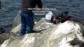 Look at ISO anglers tournament in California, dana point, rarity old video Mar242012