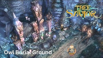 Owl Burial Ground and surrounding area - 1 hour (Tree of Savior music and ambience)