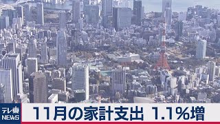 １世帯の支出1.1％増　家計調査「20年11月」（2021年1月8日）