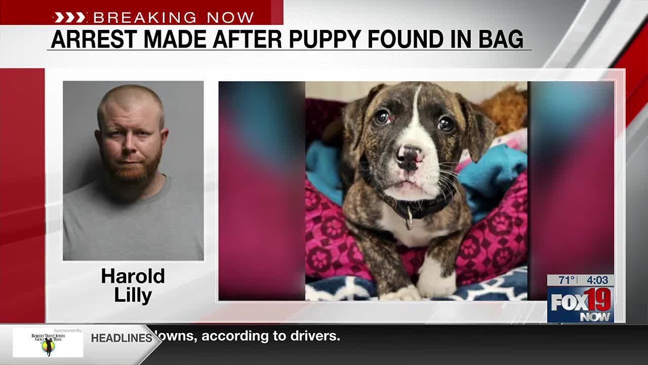 Man arrested after puppy found tied in bag at Butler County park - YouTube