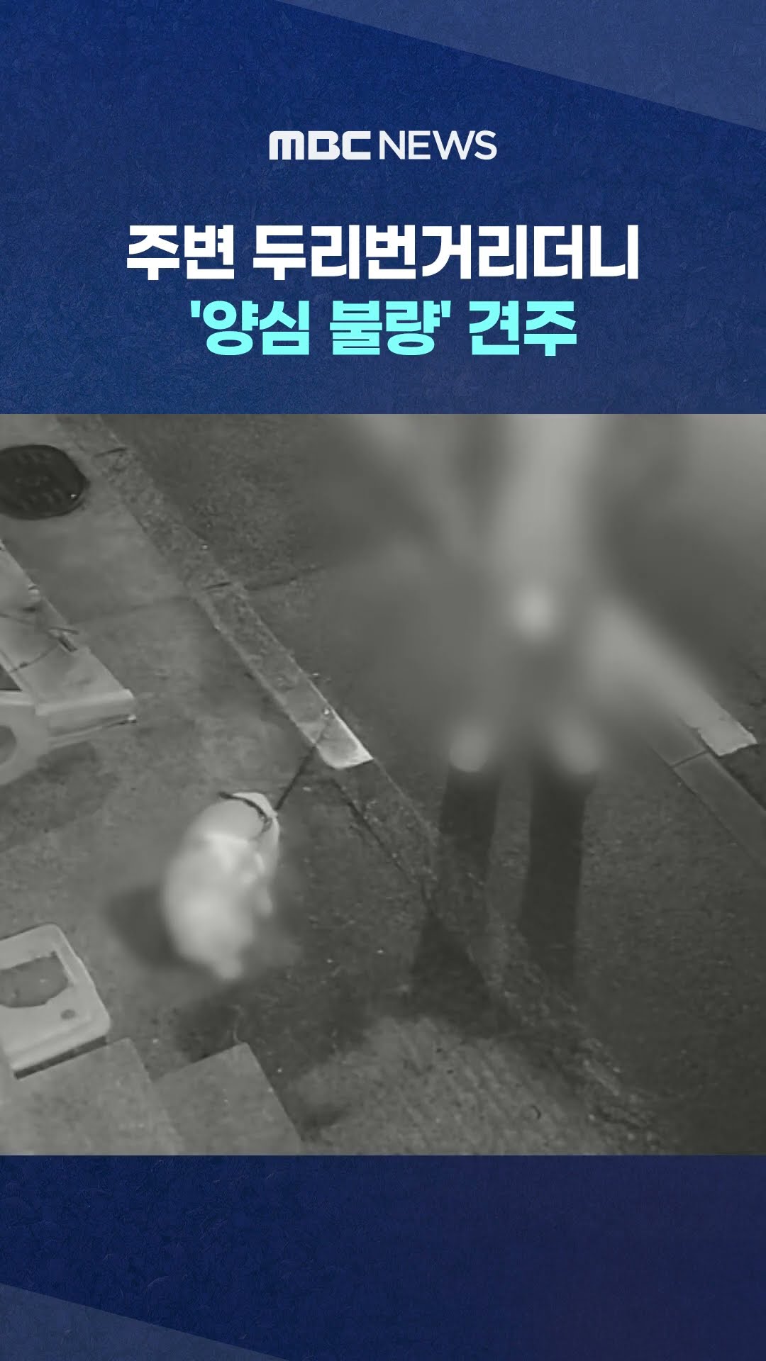 주변 두리번거리더니 그대로 자리 떠 #Shorts (MBC뉴스)