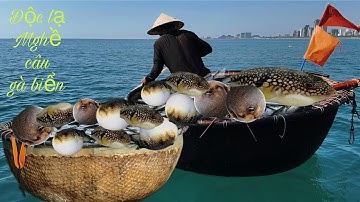 Câu Cá Nóc Bằng Rường To Tự Chế kiếm Tiền Triệu Mỗi Ngày