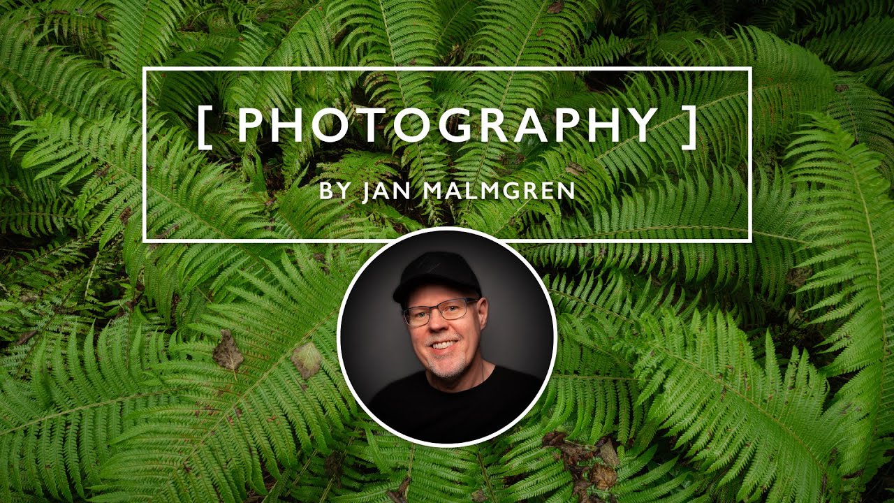 Why I brought only ONE lens to this woodland stream | GFX 100 II and GF 20-35mm