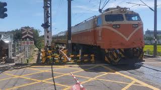 516次莒光號 e226代打 平交道因有車輛卡住所以516才臨時停車 起步時鳴笛1聲 後面還有2619通過