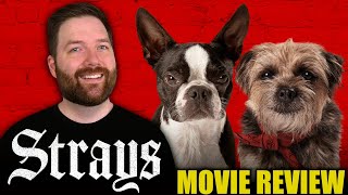 Strays  Movie Review