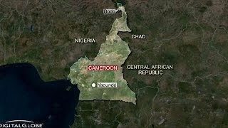 Details Cameroon: suicide bombers kill more than 20 News