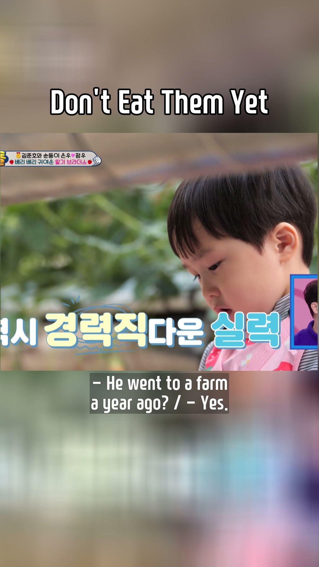 Don't Eat Them Yet? #TheReturnofSuperman | KBS WORLD TV
