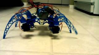 3D printed Hexapod, displaying sit  and stand
