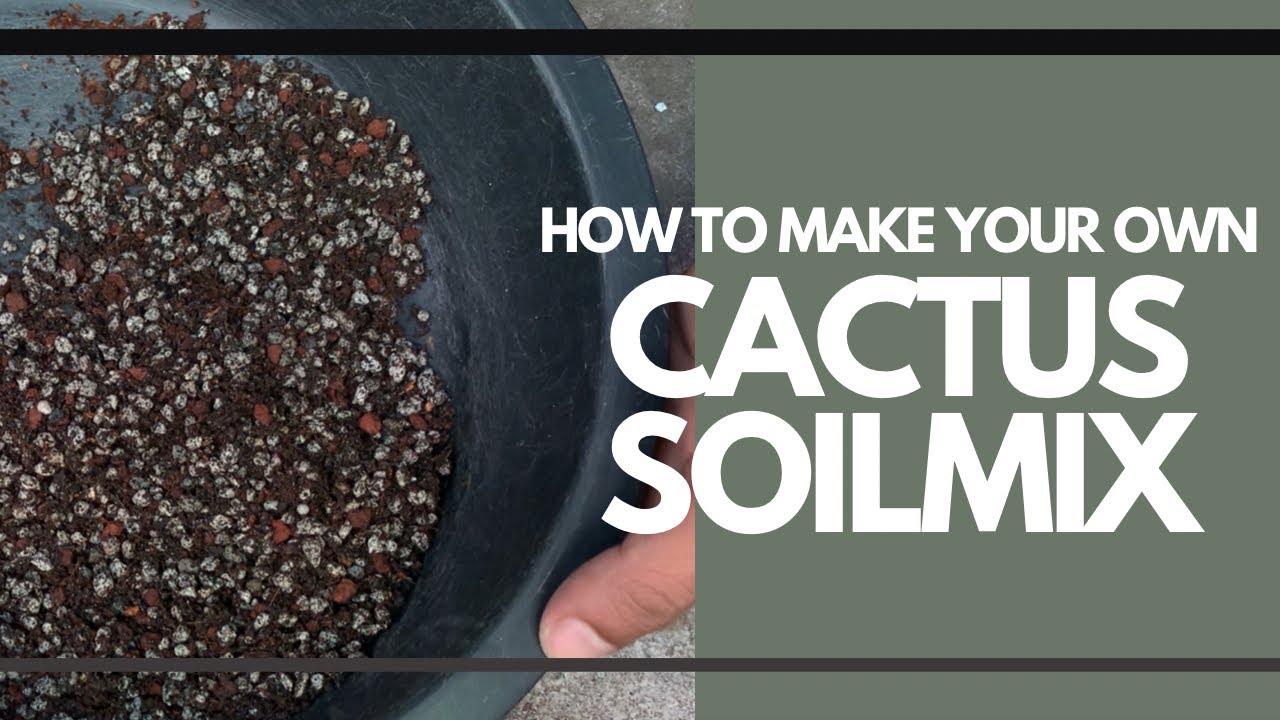 [ENG SUB] How to Make Your Own Cactus Soilmix | DIY | Gymno and Astro ...