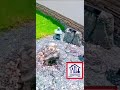 Amazing Home Exterior Transformation | Landscape Clearing, Wall Renovation & Modern Porch Makeover