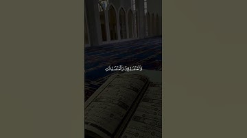 قرآن كريم بصوت جميل #اكسبلور #quran #islamicscripture #المصحف #islamictext #راحة_نفسية