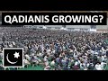 Why is ahmadiyya islam growing so fast