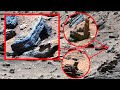 Zona de alta concentración estructural observada por el curiosity Rover de la nasa | misión Mars