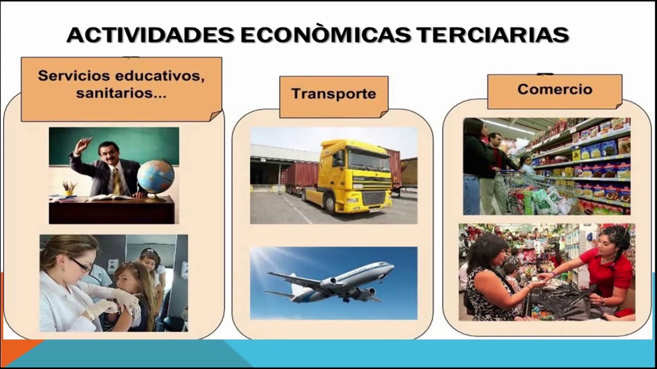 Las actividades económicas: primaria, secundarias y terciarias - 5 - thptnganamst.edu.vn