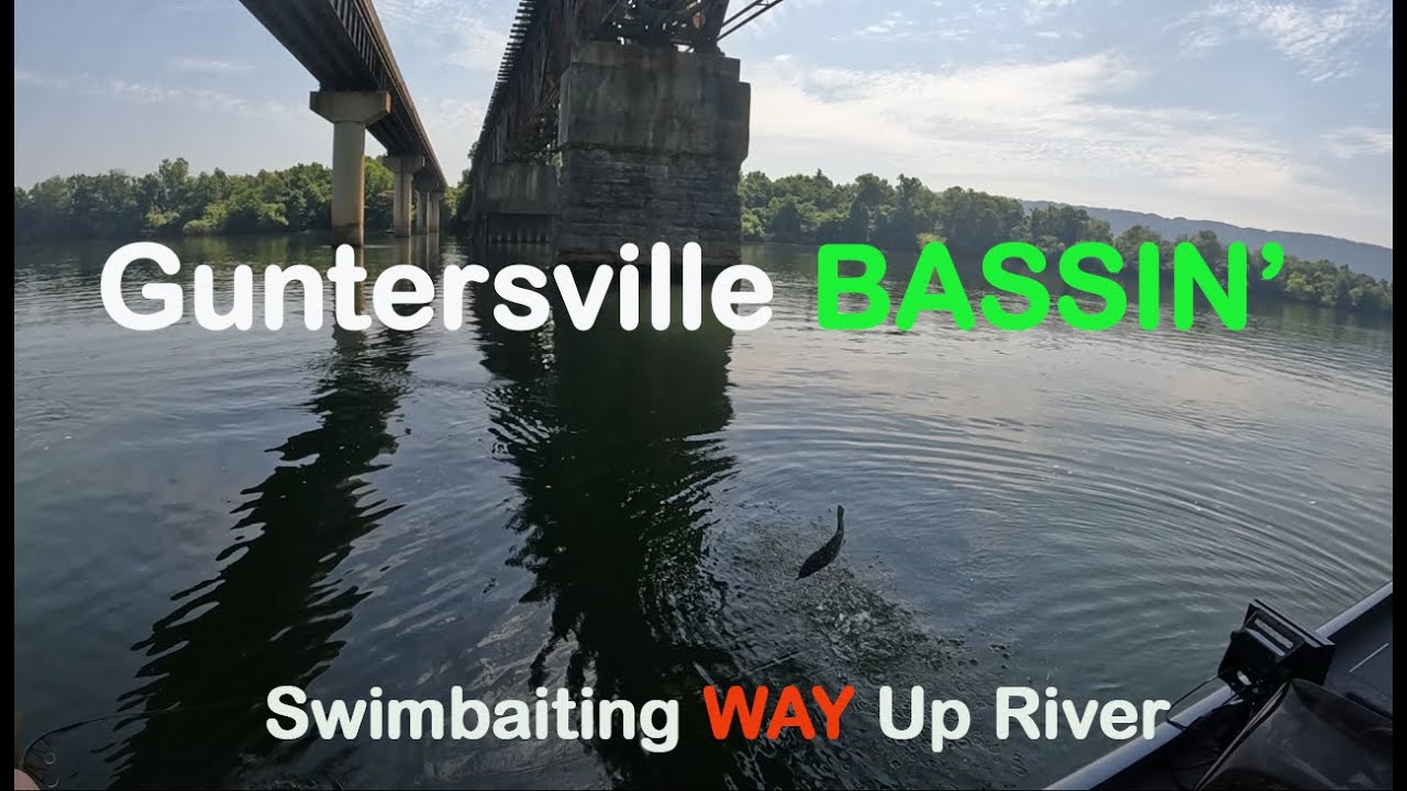 Swimbait Secrets for Success on the River! (Black Bass Grand Slam!)