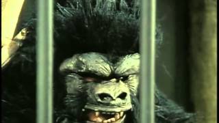 Full Episode Jeeves And Wooster S04 E2 Lady Florence Craye Arrives In New York