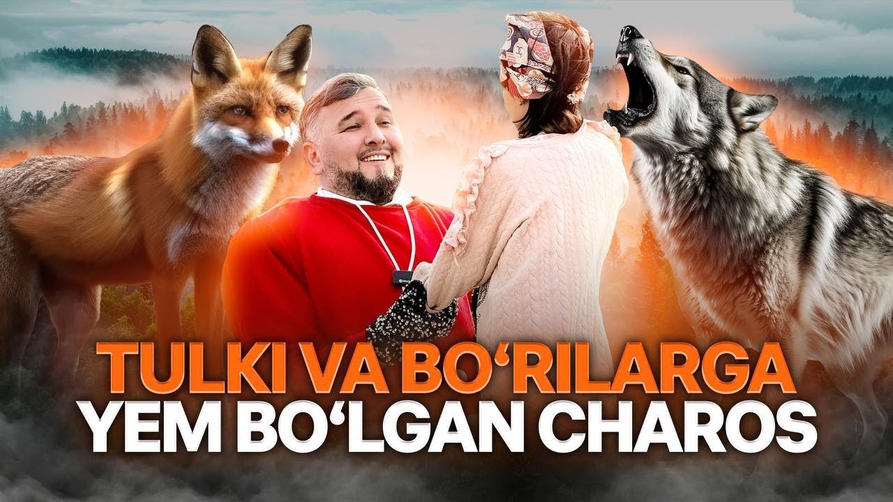 Sardor Rahimxon- BO’RILARGA YEM BO’LGAN CHAROS. DAXSHAT VIDEO. Hamma ko’rishi zarur.