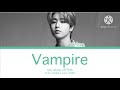 Han Jisung Vampire Color Coded Lyrics Ai Cover Han Jisung Vampire Color Coded Lyrics Ai Cover