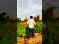 আমার গল্পে কারো প্রিয় মানুষ হতে পারেনি #mini voice #song #comedy 💔😞😞💔