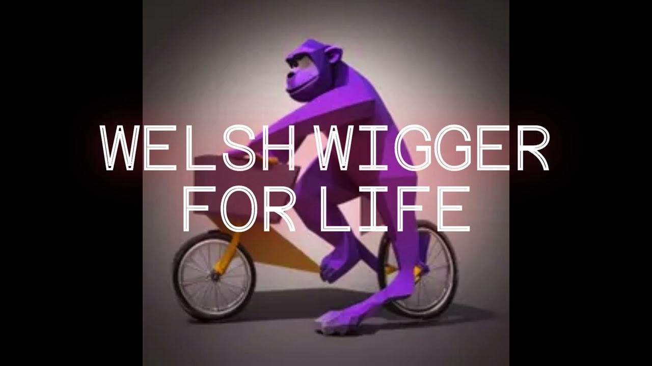 Stringstorm Last Stand of the Black Watch (Welsh Wigger Version