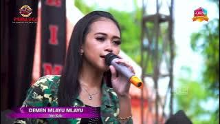 Demen Mlayu mlayu - Sulis - PrimaEga - D