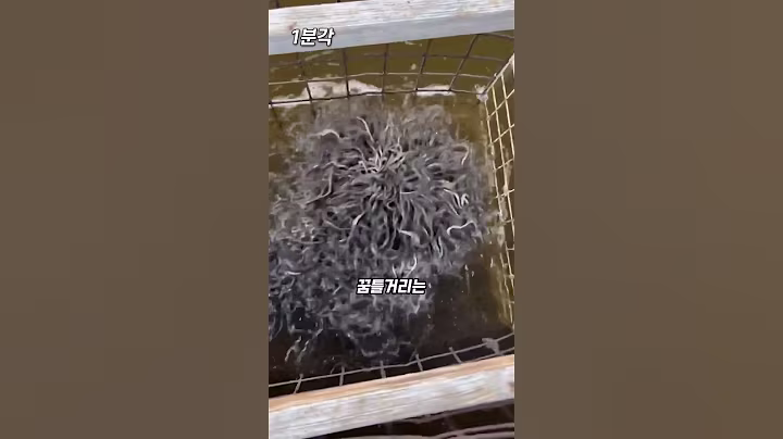 한국 일본 공통의 여름보양식