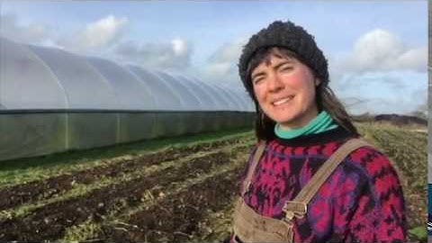Parsnip Seed at Down Farm