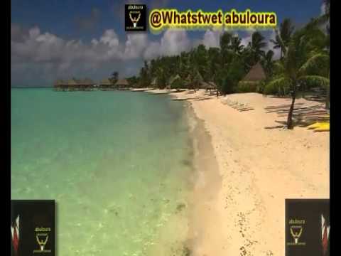 طيورك يابحر تغازلها وتبوس ايديها