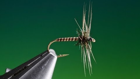 Fly Tying the Gravy train midge with Barry Ord Clarke
