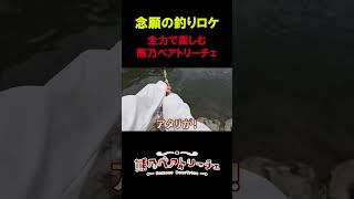 【釣りロケ】念願の釣りロケを全力で楽しむベアトリーチェ🐟🧸【#熊乃ベアトリーチェ #vtuber #mewlive #釣りガール #釣り 】