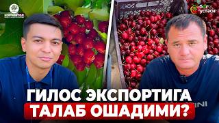 :    ! |   #shuhratabrorov #gilos #sweetariana #sweetlorens