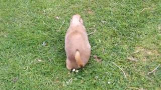 101_0408.MOV