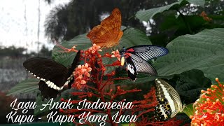 LAGU ANAK INDONESIA - KUPU KUPU YANG LUCU #KIDS #KIDZONE #LAGUANAK #LAGUANAKINDONESIA #KIDSONG