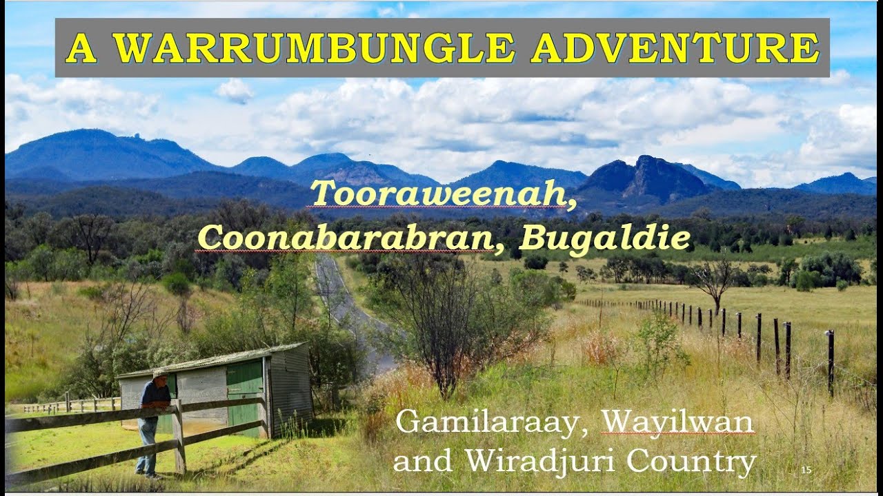 Warrumbungle Adventure. Taming of the Warrumbungle Mare. Tooraweenah, Coonabarabran, Bugaldie NSW.