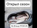 Открытие сезона рыбалки на ельца 19 04 25г  п Береть