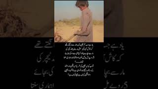 poetry🌹#subscribe🥰#sad😌#deep#love🌹💕💓#viralshorys#shayari✨✨#youtubeshorts