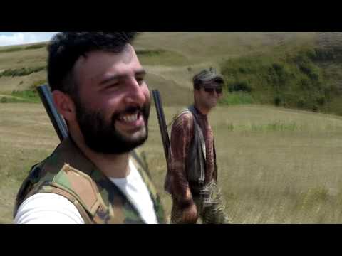 охота на перепела в Армении / Լորի որս / Lori Vors / Hunting In Armenia / Հայ որսորդ / Hay Vorsord